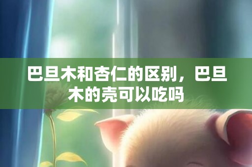 巴旦木和杏仁的区别，巴旦木的壳可以吃吗