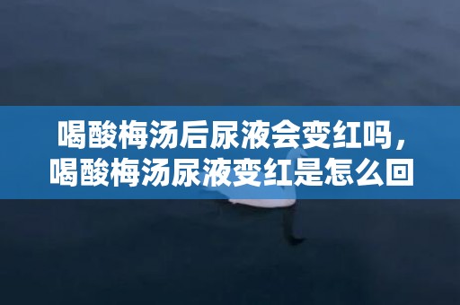 喝酸梅汤后尿液会变红吗，喝酸梅汤尿液变红是怎么回事