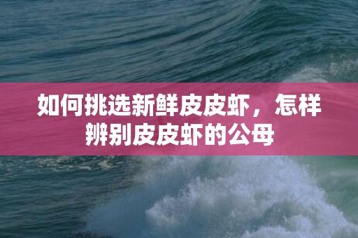 如何挑选新鲜皮皮虾，怎样辨别皮皮虾的公母