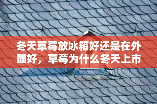冬天草莓放冰箱好还是在外面好，草莓为什么冬天上市