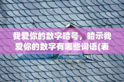 我爱你的数字暗号，暗示我爱你的数字有哪些词语(表达我爱你的数字)