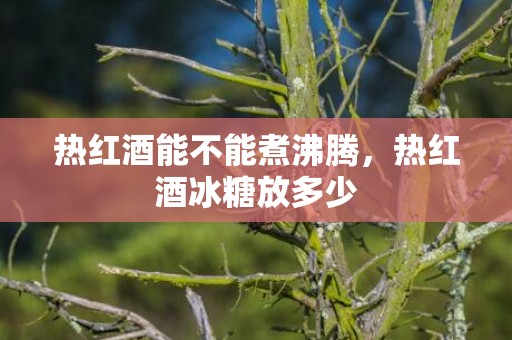 热红酒能不能煮沸腾，热红酒冰糖放多少