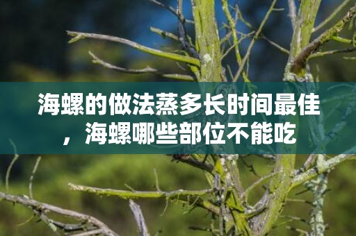 海螺的做法蒸多长时间最佳，海螺哪些部位不能吃