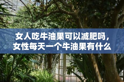 女人吃牛油果可以减肥吗，女性每天一个牛油果有什么好处