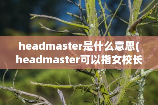 headmaster是什么意思(headmaster可以指女校长吗)