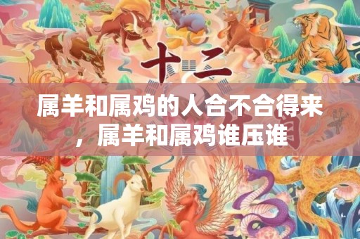 属羊和属鸡的人合不合得来，属羊和属鸡谁压谁