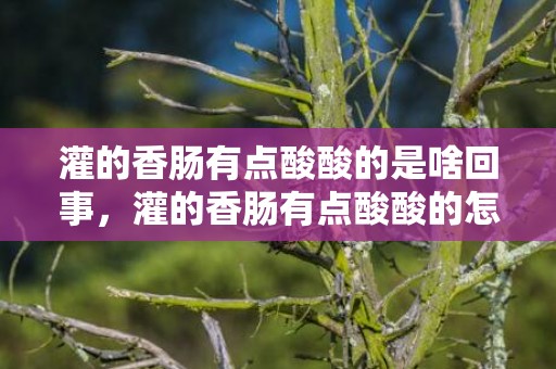 灌的香肠有点酸酸的是啥回事，灌的香肠有点酸酸的怎么补救