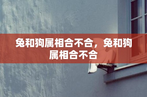兔和狗属相合不合，兔和狗属相合不合