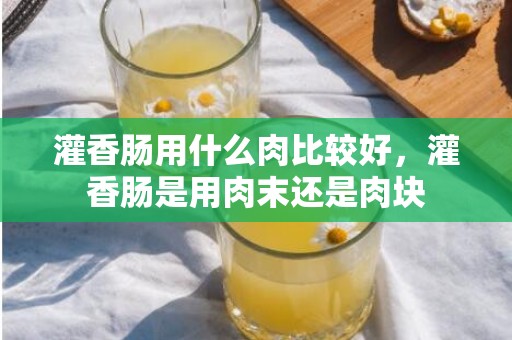 灌香肠用什么肉比较好，灌香肠是用肉末还是肉块