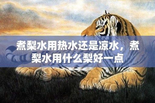 煮梨水用热水还是凉水，煮梨水用什么梨好一点