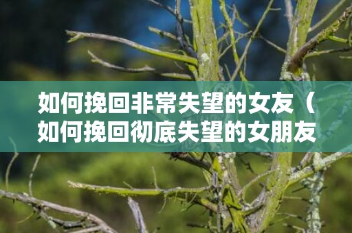 如何挽回非常失望的女友（如何挽回彻底失望的女朋友）