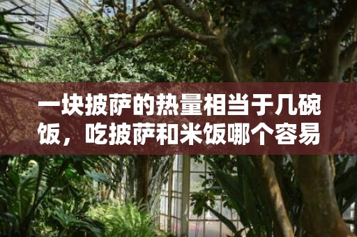 一块披萨的热量相当于几碗饭，吃披萨和米饭哪个容易胖