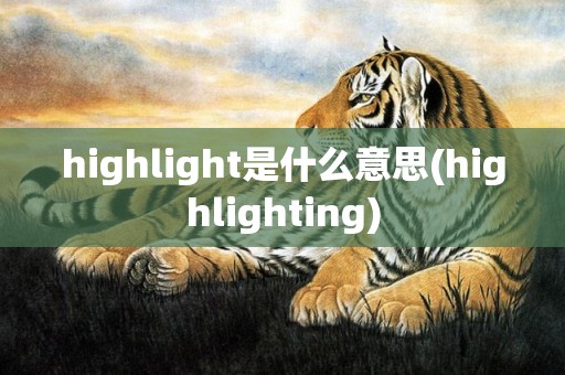 highlight是什么意思(highlighting)