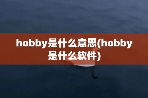 hobby是什么意思(hobby是什么软件)