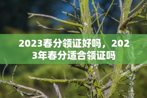 2023春分领证好吗，2023年春分适合领证吗