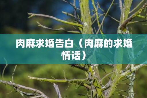 肉麻求婚告白（肉麻的求婚情话）
