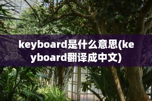 keyboard是什么意思(keyboard翻译成中文)