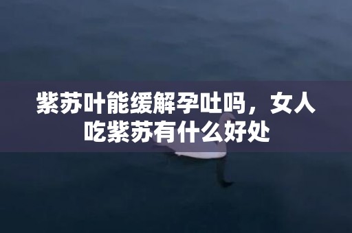 紫苏叶能缓解孕吐吗，女人吃紫苏有什么好处