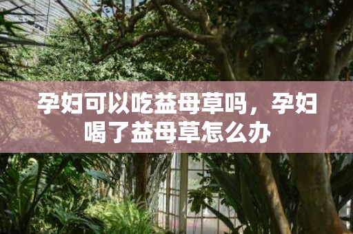 孕妇可以吃益母草吗，孕妇喝了益母草怎么办