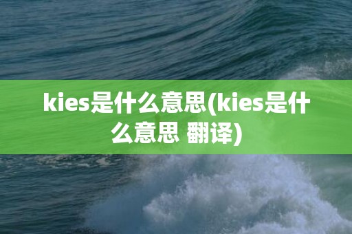 kies是什么意思(kies是什么意思 翻译)