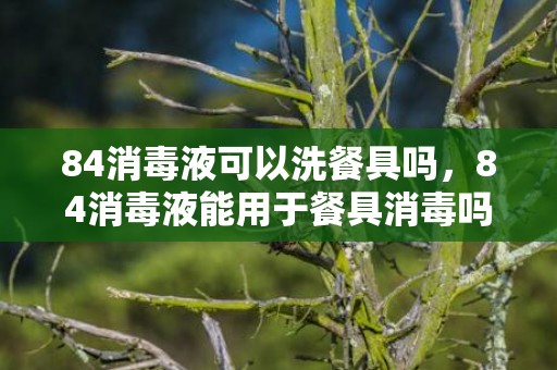 84消毒液可以洗餐具吗，84消毒液能用于餐具消毒吗