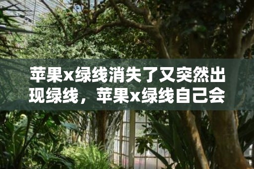 苹果x绿线消失了又突然出现绿线，苹果x绿线自己会消失吗