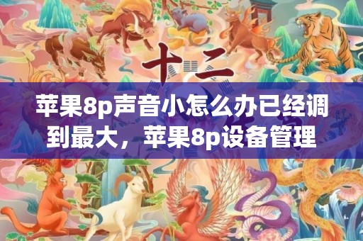 苹果8p声音小怎么办已经调到最大，苹果8p设备管理在哪里
