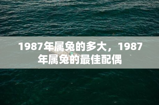 1987年属兔的多大，1987年属兔的最佳配偶