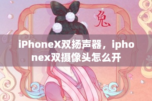iPhoneX双扬声器，iphonex双摄像头怎么开