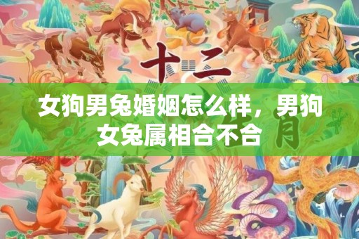 女狗男兔婚姻怎么样，男狗女兔属相合不合