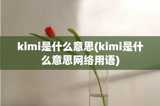 kimi是什么意思(kimi是什么意思网络用语)