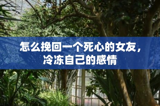 怎么挽回一个死心的女友，冷冻自己的感情
