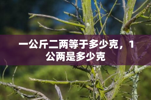 一公斤二两等于多少克，1公两是多少克