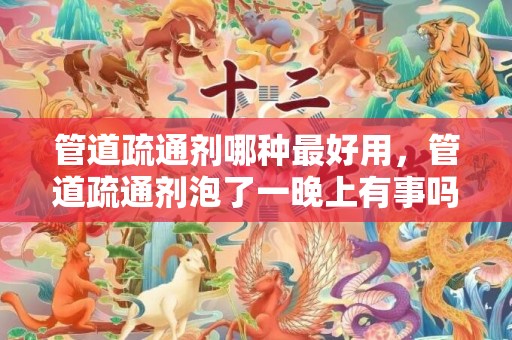 管道疏通剂哪种最好用，管道疏通剂泡了一晚上有事吗