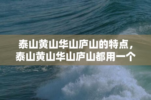 泰山黄山华山庐山的特点，泰山黄山华山庐山都用一个字概括