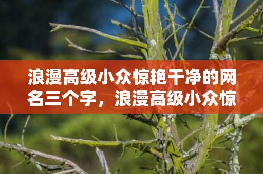 浪漫高级小众惊艳干净的网名三个字，浪漫高级小众惊艳干净的文案50字，表白文案200个字