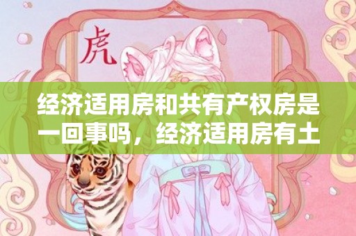 经济适用房和共有产权房是一回事吗，经济适用房有土地证吗