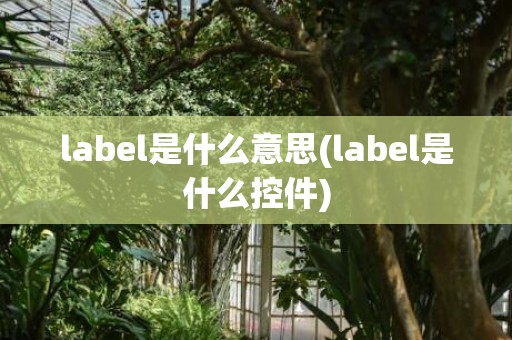 label是什么意思(label是什么控件)