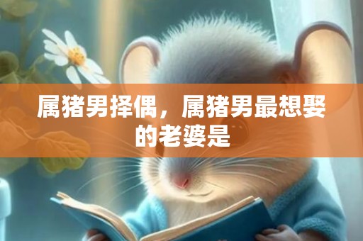 属猪男择偶，属猪男最想娶的老婆是