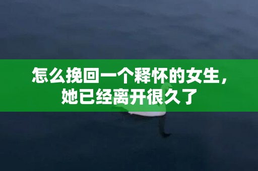 怎么挽回一个释怀的女生，她已经离开很久了