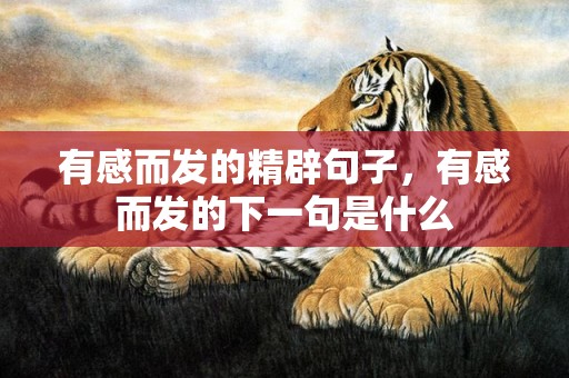 有感而发的精辟句子，有感而发的下一句是什么