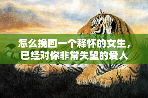 怎么挽回一个释怀的女生，已经对你非常失望的爱人