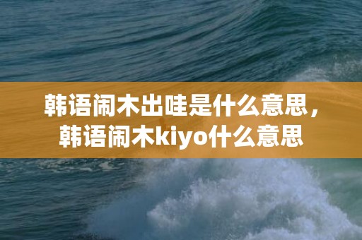 韩语闹木出哇是什么意思，韩语闹木kiyo什么意思