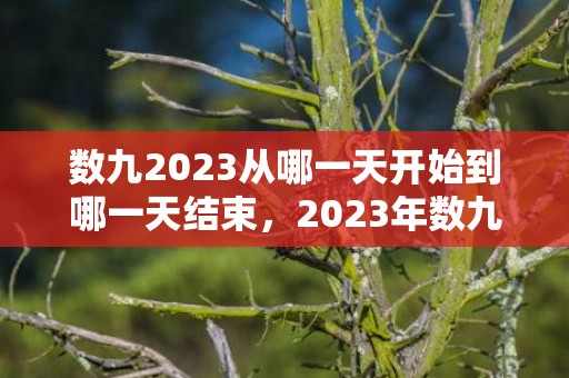 数九2023从哪一天开始到哪一天结束，2023年数九天是几号开始几号结束