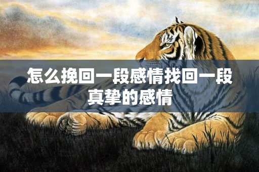 怎么挽回一段感情找回一段真挚的感情