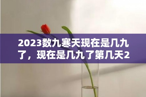 2023数九寒天现在是几九了，现在是几九了第几天2023