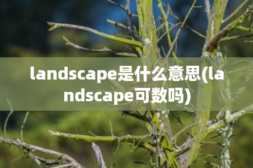 landscape是什么意思(landscape可数吗)