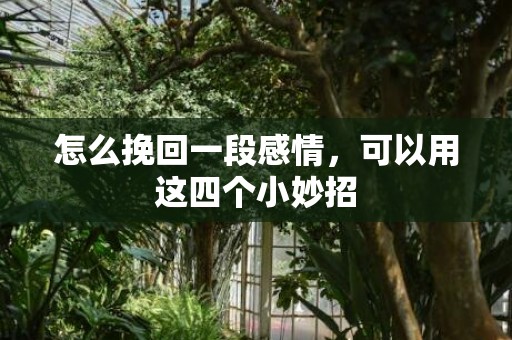怎么挽回一段感情，可以用这四个小妙招