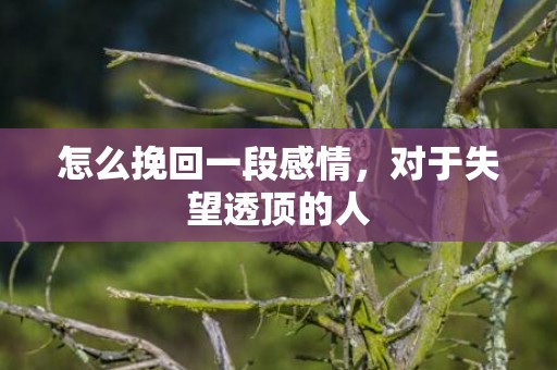 怎么挽回一段感情，对于失望透顶的人