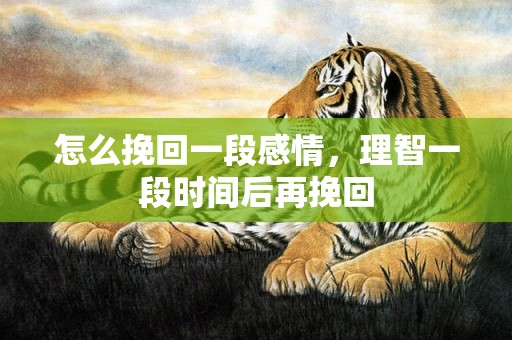 怎么挽回一段感情，理智一段时间后再挽回